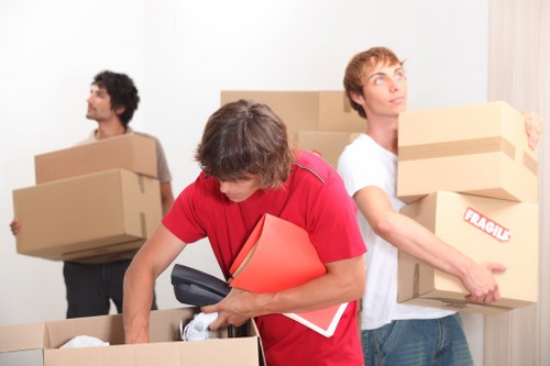 Protective packing materials for fragile items and storage